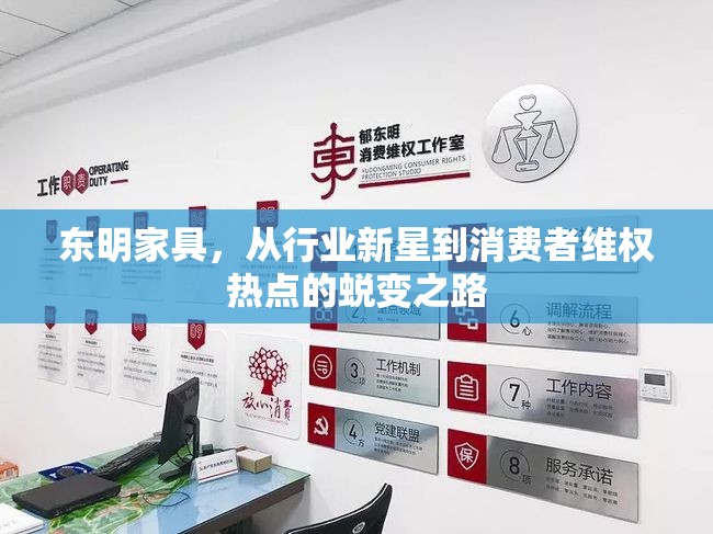 東明家具，從行業(yè)新星到消費(fèi)者維權(quán)熱點(diǎn)的蛻變之路