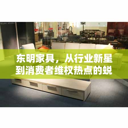 東明家具，從行業(yè)新星到消費(fèi)者維權(quán)熱點(diǎn)的蛻變之路