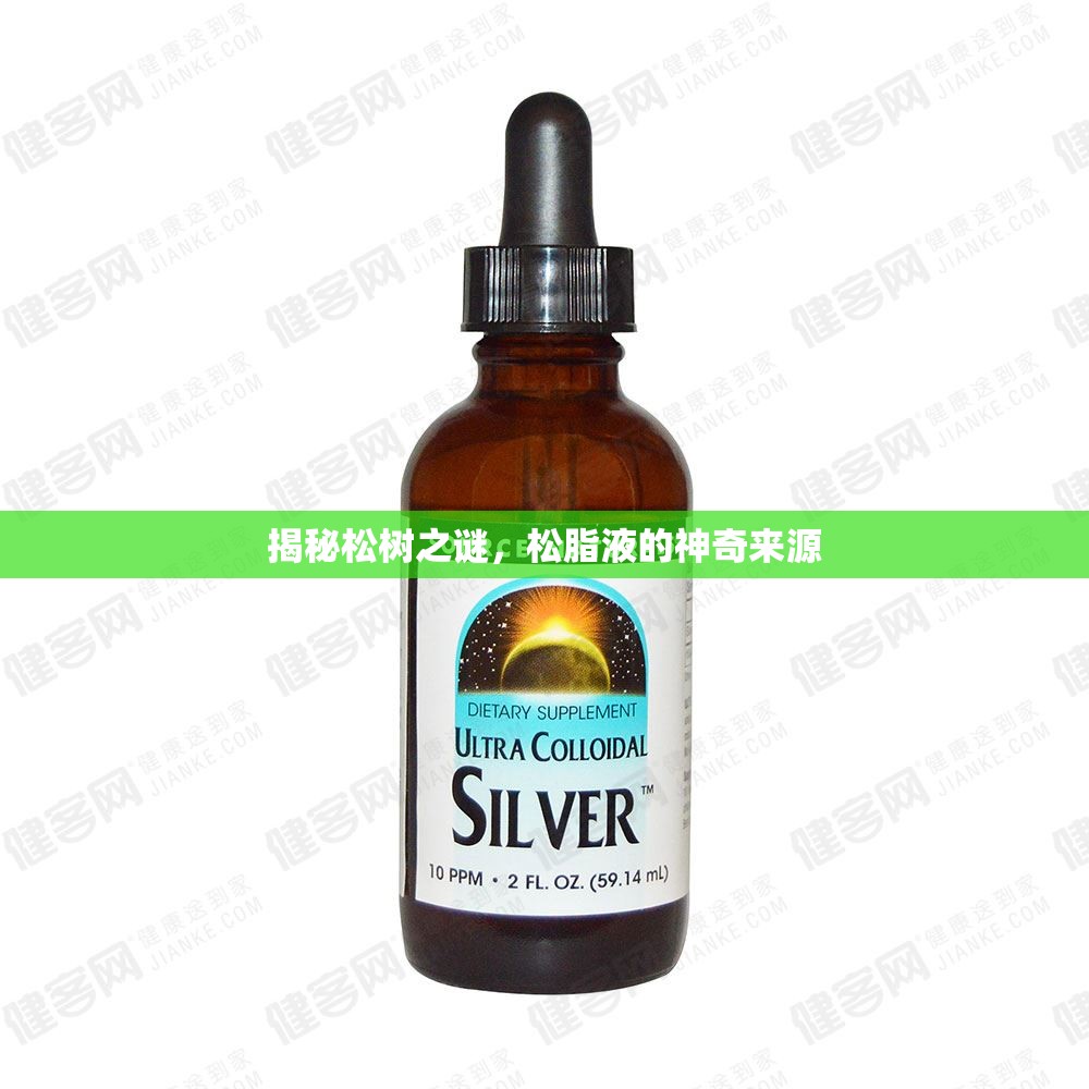 揭秘松樹之謎，松脂液的神奇來源
