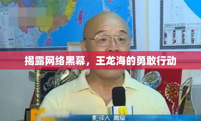 揭露網(wǎng)絡黑幕，王龍海的勇敢行動