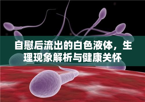 自慰后流出的白色液體，生理現(xiàn)象解析與健康關(guān)懷