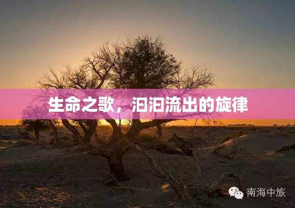 生命之歌，汩汩流出的旋律