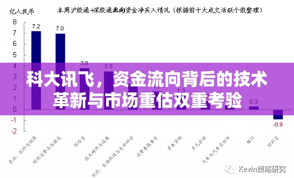 科大訊飛，資金流向背后的技術(shù)革新與市場重估雙重考驗