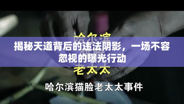 揭秘天道背后的違法陰影，一場(chǎng)不容忽視的曝光行動(dòng)