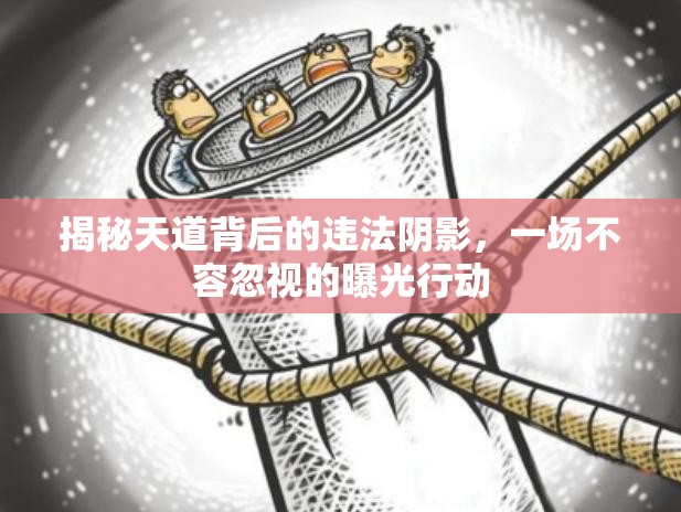 揭秘天道背后的違法陰影，一場(chǎng)不容忽視的曝光行動(dòng)