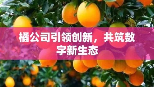 橘公司引領(lǐng)創(chuàng)新，共筑數(shù)字新生態(tài)