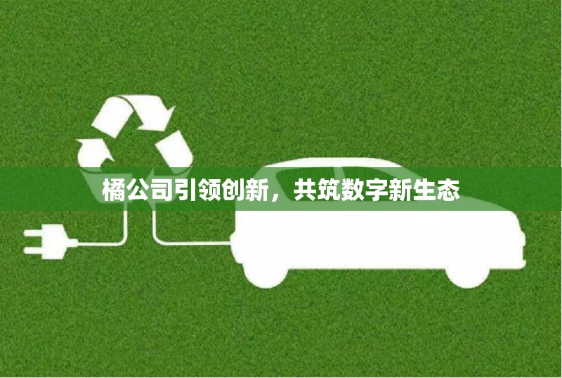 橘公司引領(lǐng)創(chuàng)新，共筑數(shù)字新生態(tài)