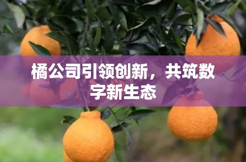 橘公司引領(lǐng)創(chuàng)新，共筑數(shù)字新生態(tài)