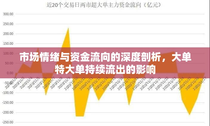 市場情緒與資金流向的深度剖析，大單特大單持續(xù)流出的影響