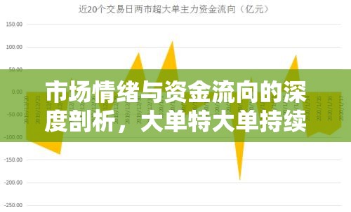 市場情緒與資金流向的深度剖析，大單特大單持續(xù)流出的影響