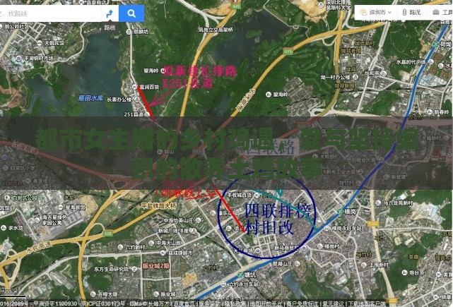 都市女主播的鄉(xiāng)村雞遇，愛(ài)與堅(jiān)持編織的散養(yǎng)土雞故事