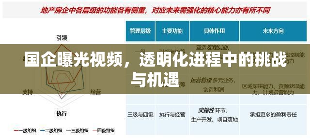 國(guó)企曝光視頻，透明化進(jìn)程中的挑戰(zhàn)與機(jī)遇