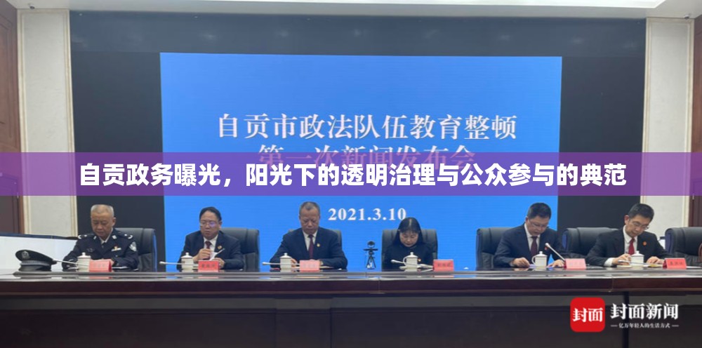 自貢政務(wù)曝光，陽光下的透明治理與公眾參與的典范