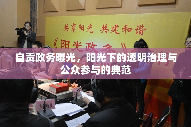 自貢政務(wù)曝光，陽光下的透明治理與公眾參與的典范
