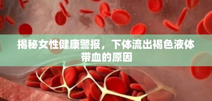 揭秘女性健康警報(bào)，下體流出褐色液體帶血的原因