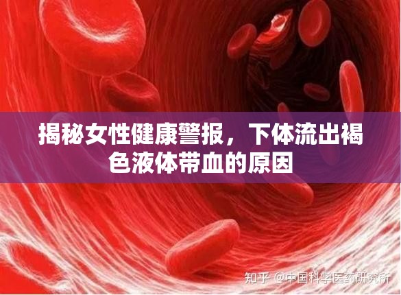 揭秘女性健康警報(bào)，下體流出褐色液體帶血的原因