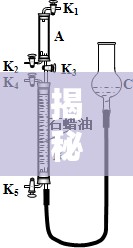 揭秘勃起時(shí)液體流出的科學(xué)原理，健康、真相與誤解澄清