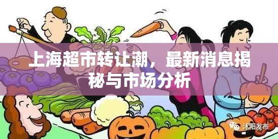上海超市轉(zhuǎn)讓潮，最新消息揭秘與市場(chǎng)分析
