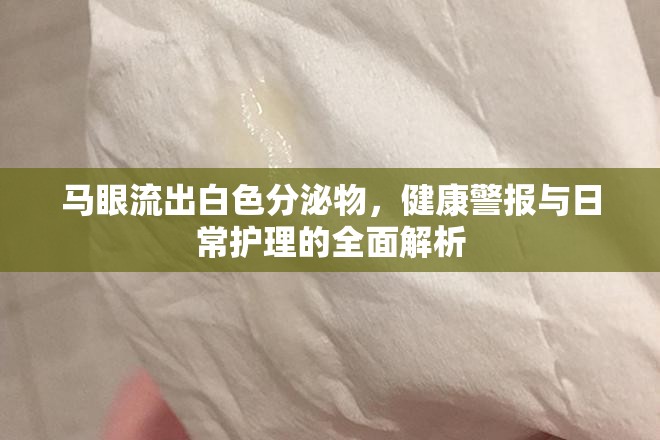 馬眼流出白色分泌物，健康警報(bào)與日常護(hù)理的全面解析