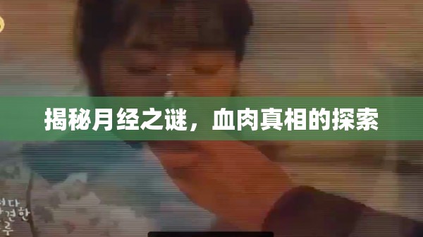 揭秘月經(jīng)之謎，血肉真相的探索
