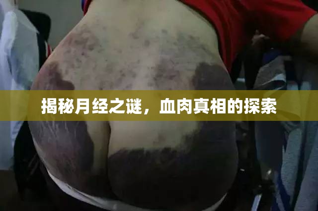 揭秘月經(jīng)之謎，血肉真相的探索