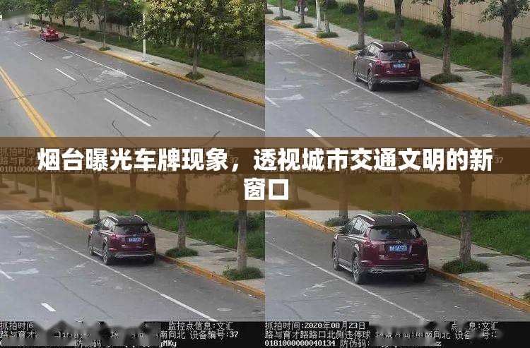 煙臺(tái)曝光車(chē)牌現(xiàn)象，透視城市交通文明的新窗口
