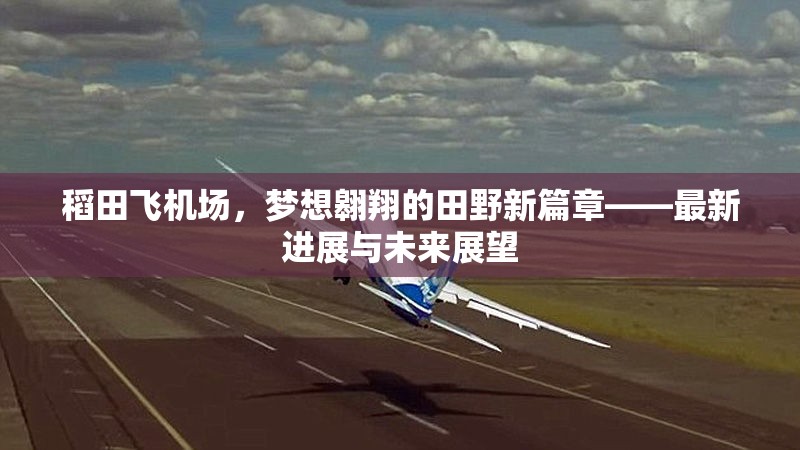 稻田飛機(jī)場，夢想翱翔的田野新篇章——最新進(jìn)展與未來展望