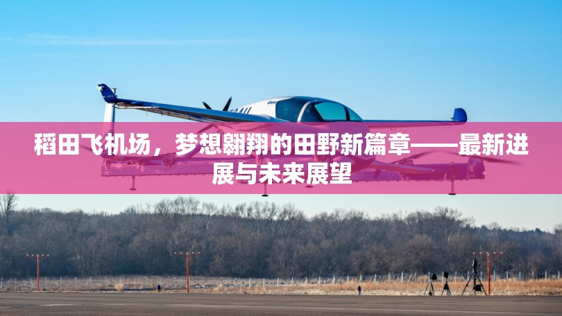 稻田飛機(jī)場，夢想翱翔的田野新篇章——最新進(jìn)展與未來展望