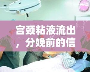 宮頸粘液流出，分娩前的信號與時間預(yù)估