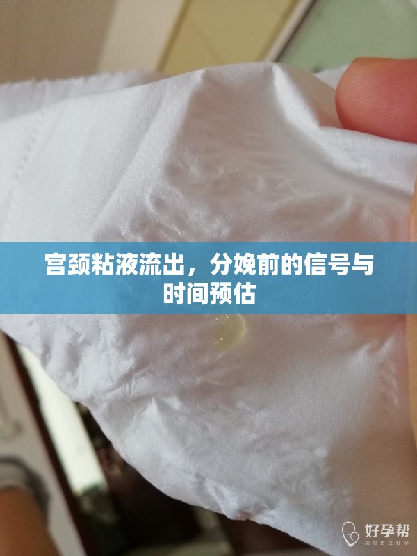 宮頸粘液流出，分娩前的信號與時間預(yù)估