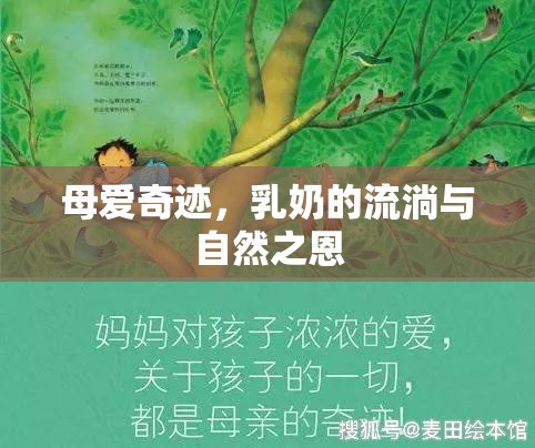 母愛奇跡，乳奶的流淌與自然之恩