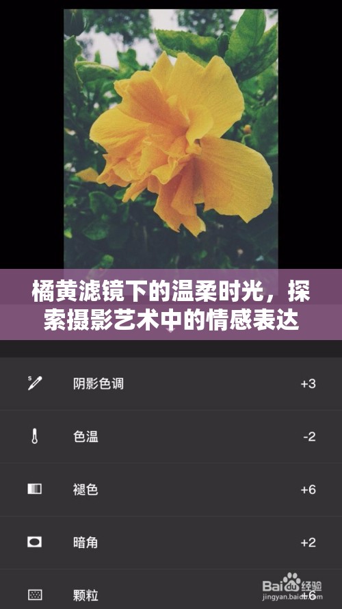 橘黃濾鏡下的溫柔時光，探索攝影藝術(shù)中的情感表達
