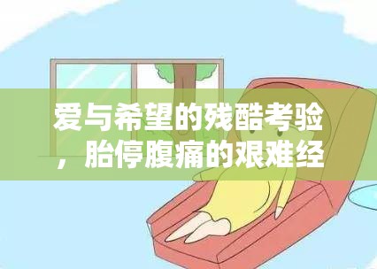愛與希望的殘酷考驗，胎停腹痛的艱難經(jīng)歷