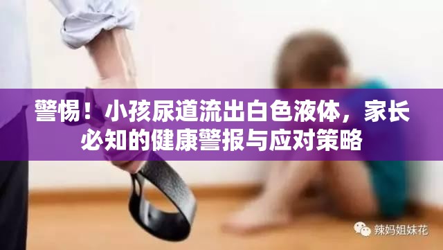 警惕！小孩尿道流出白色液體，家長(zhǎng)必知的健康警報(bào)與應(yīng)對(duì)策略