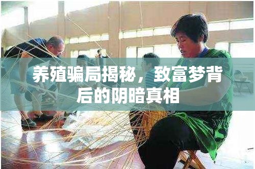 養(yǎng)殖騙局揭秘，致富夢背后的陰暗真相