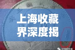 上海收藏界深度揭秘，真?zhèn)闻c價值的碰撞與解析