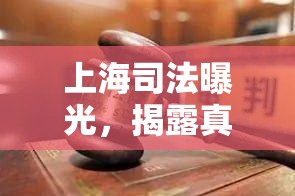 上海司法曝光，揭露真相，守護(hù)正義的深度剖析