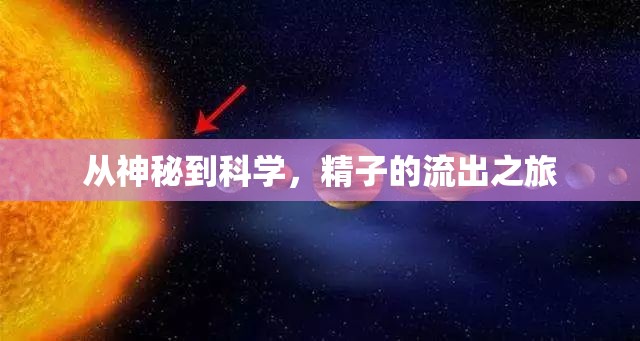 從神秘到科學(xué)，精子的流出之旅