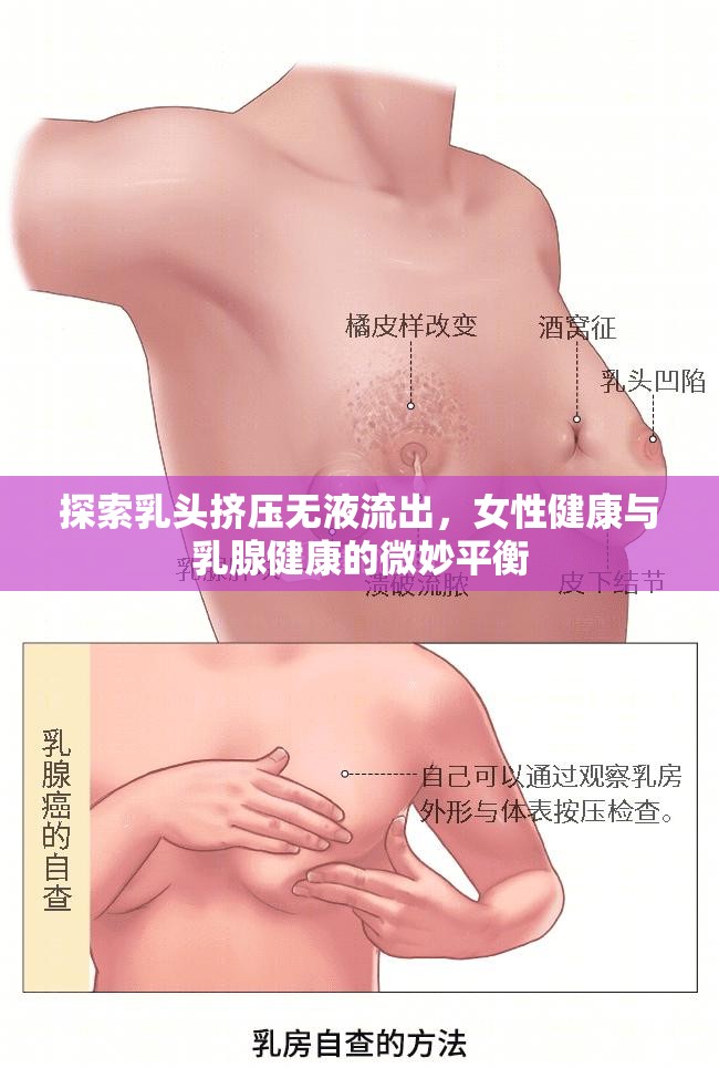 探索乳頭擠壓無液流出，女性健康與乳腺健康的微妙平衡