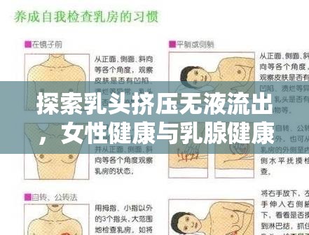 探索乳頭擠壓無液流出，女性健康與乳腺健康的微妙平衡