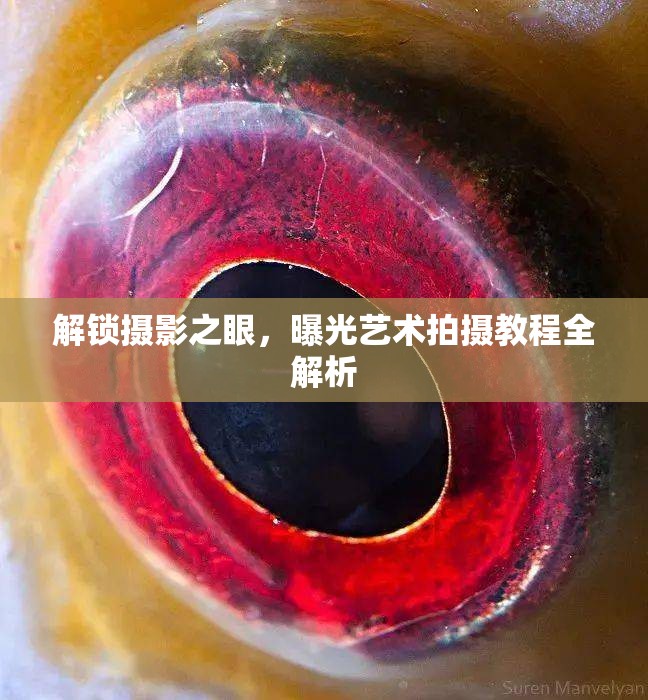 解鎖攝影之眼，曝光藝術(shù)拍攝教程全解析