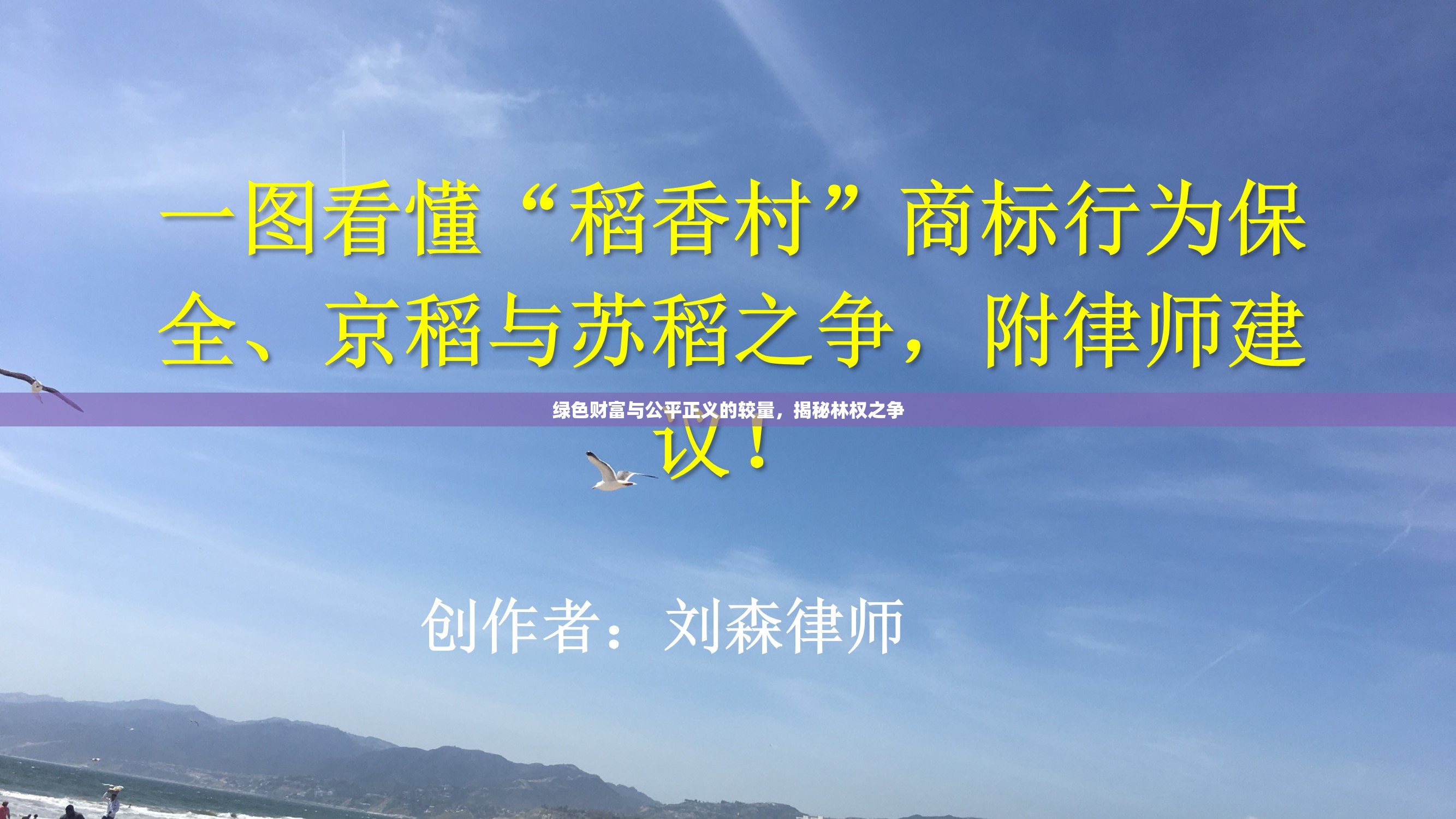 綠色財(cái)富與公平正義的較量，揭秘林權(quán)之爭(zhēng)