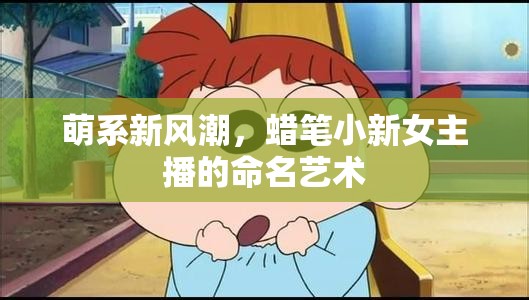 萌系新風潮，蠟筆小新女主播的命名藝術