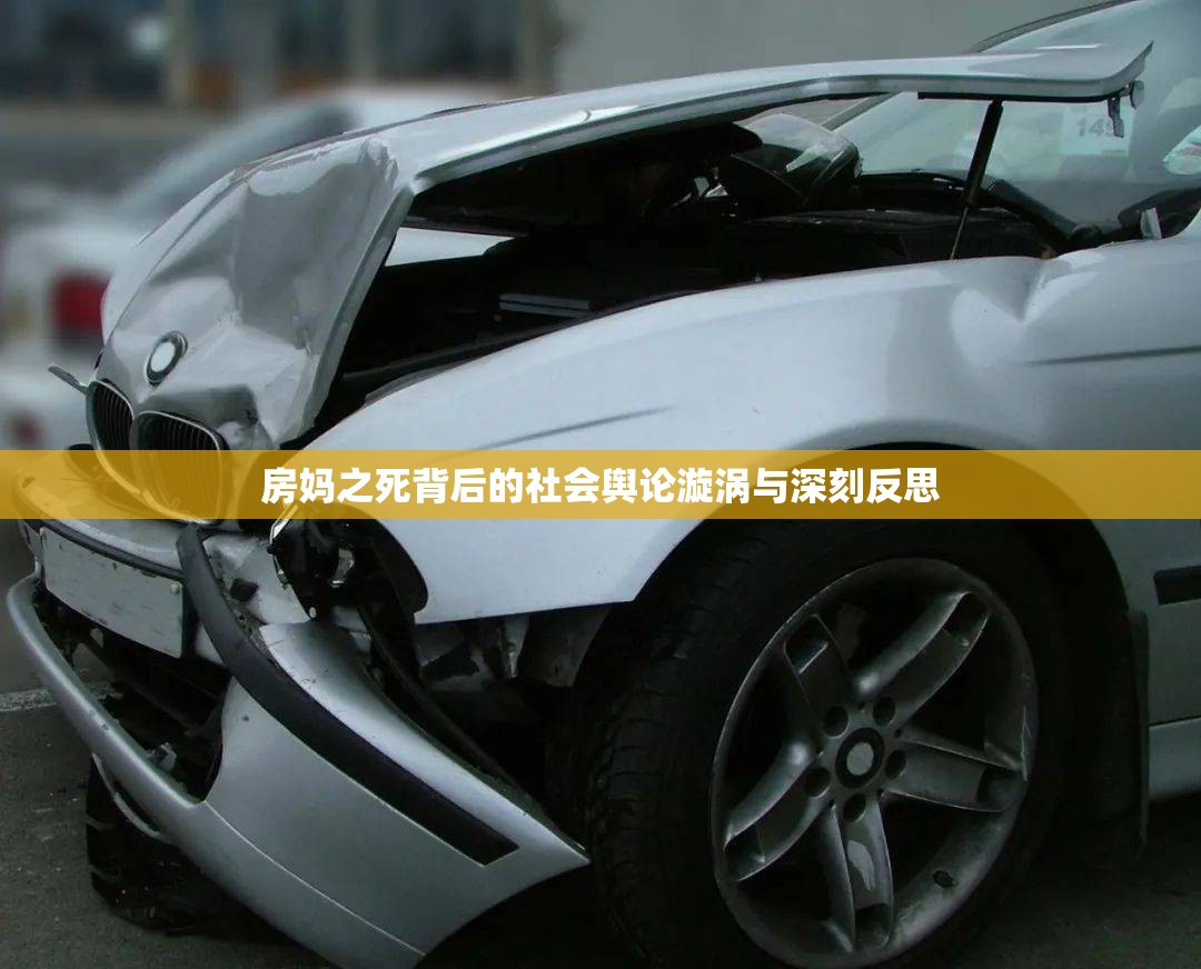 房媽之死背后的社會(huì)輿論漩渦與深刻反思