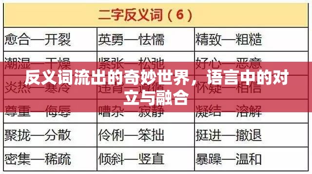 反義詞流出的奇妙世界，語言中的對(duì)立與融合