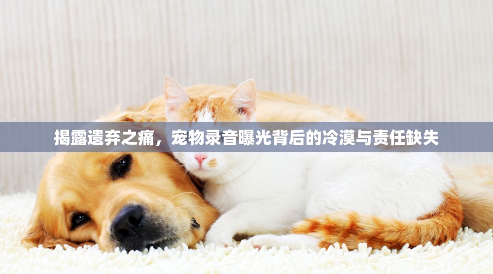 揭露遺棄之痛，寵物錄音曝光背后的冷漠與責(zé)任缺失