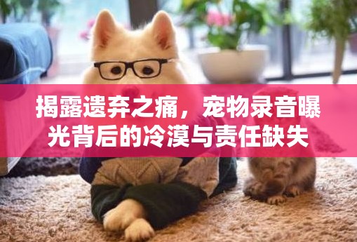 揭露遺棄之痛，寵物錄音曝光背后的冷漠與責(zé)任缺失