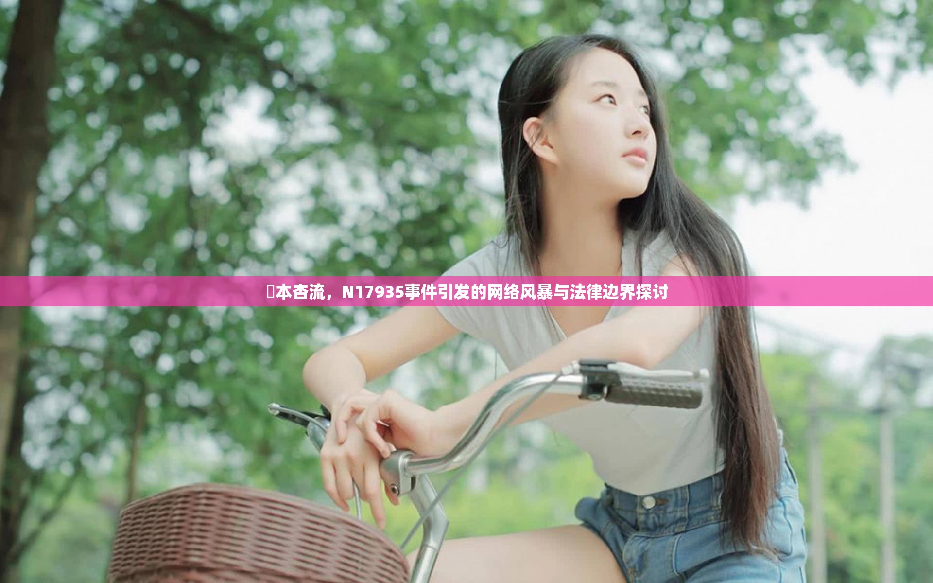 辻本杏流，N17935事件引發(fā)的網(wǎng)絡(luò)風(fēng)暴與法律邊界探討