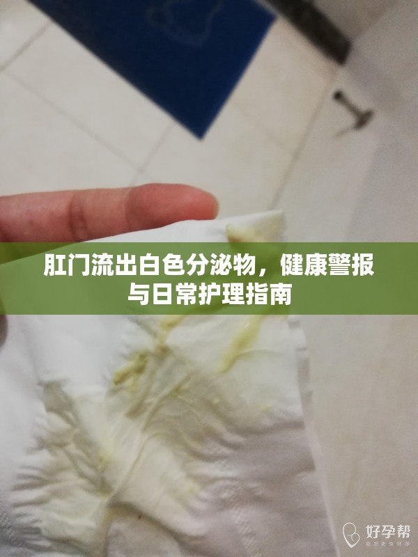 肛門流出白色分泌物，健康警報(bào)與日常護(hù)理指南