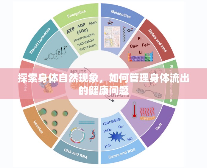 探索身體自然現(xiàn)象，如何管理身體流出的健康問題